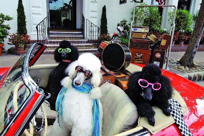 Carmel Walk Guided Tour Carmel by the Sea - Touring the Cypress Inn and Hollywood Glamour