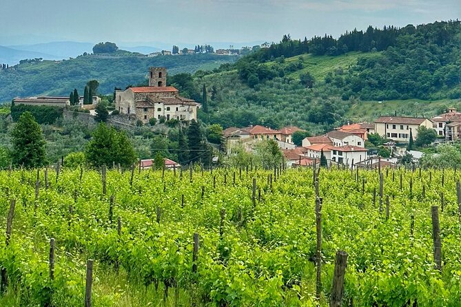 Carmignano Wine Tour with a Somm Small Group - Modern Cellars and Winemaking Techniques