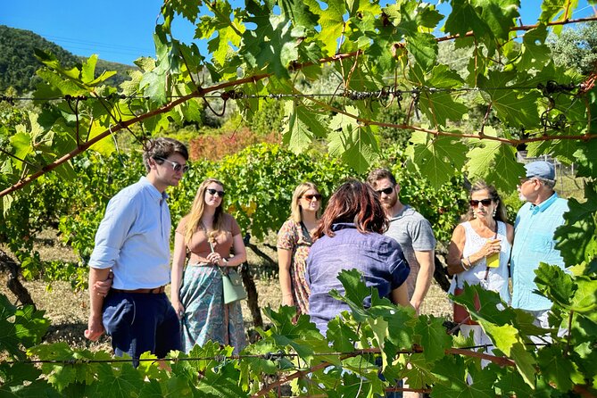 Carmignano Wine Tour with a Somm Small Group - Authentic Tuscan Farm-to-Table Lunch