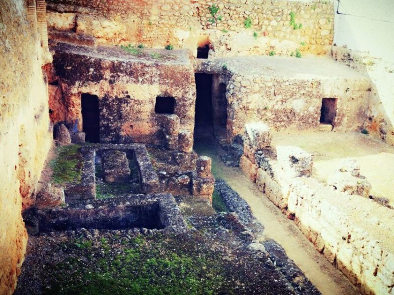 Carmona: City Walking Tour - Exploring Roman Heritage at Cardo Máximo and the Plaza de San Fernando