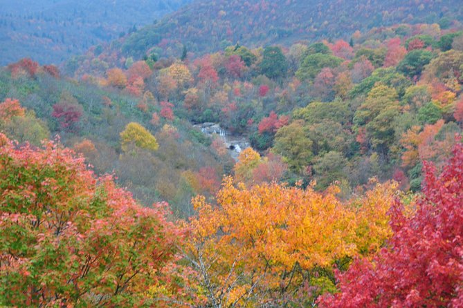 Carolina Waterfalls and Highlands Private VIP Boutique Tour - Cliffside Lake and Trail for Relaxed Nature Experiences