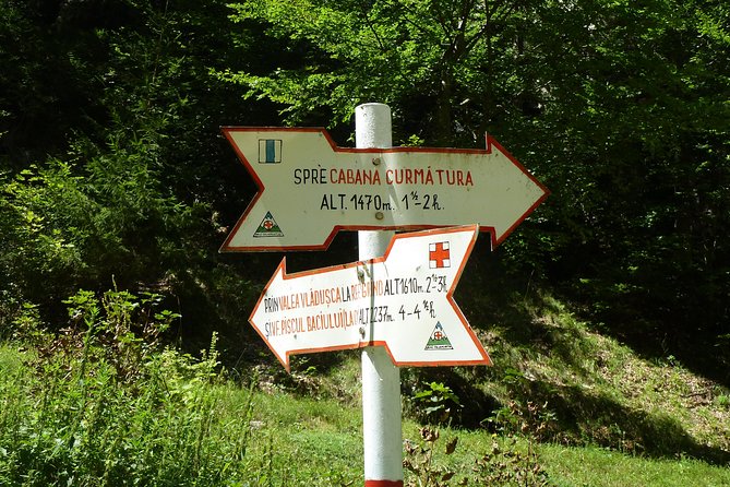 Carpathians in Romania: Piatra Craiului National Park with native Spanish guide. - Practical Details: Meeting Point, Timing, and Group Size