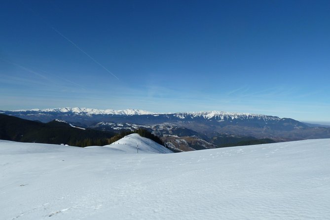Carpathians in Romania: Piatra Craiului National Park with native Spanish guide. - Limitations to Keep in Mind