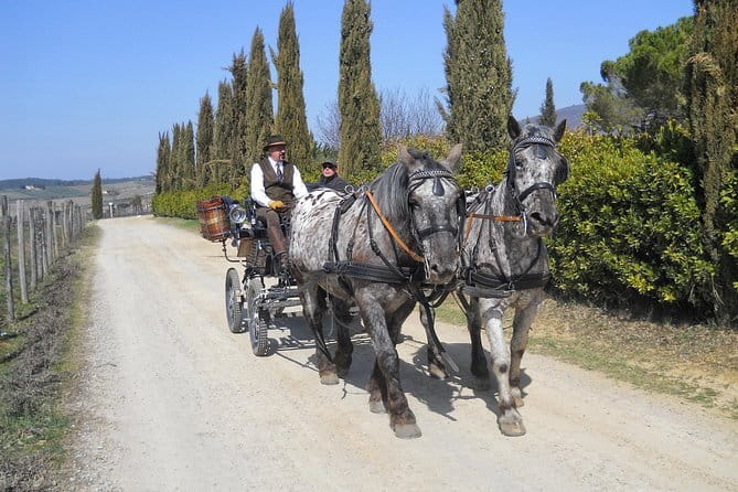 Carriage ride and Lunch in a typical restaurant in the heart of Chianti - Discover the Charm of a Carriage Ride and Tuscan Cuisine in Chianti