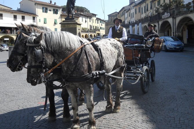 Carriage ride and Lunch in a typical restaurant in the heart of Chianti - The Sum Up: An Elegant Blend of Scenery and Cuisine in Chianti