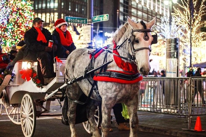 Carriage Ride in Central Park (VIP - PRIVATE) Since 1964 - How the Central Park Carriage Ride Starts and Ends at the Same Location