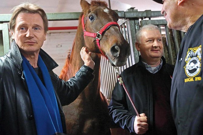 Carriage Ride in Central Park (VIP - PRIVATE) Since 1964 - Customer Feedback: Strengths and Challenges