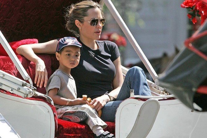 Carriage Ride in Central Park (VIP - PRIVATE) Since 1964 - Convenience and Booking Tips