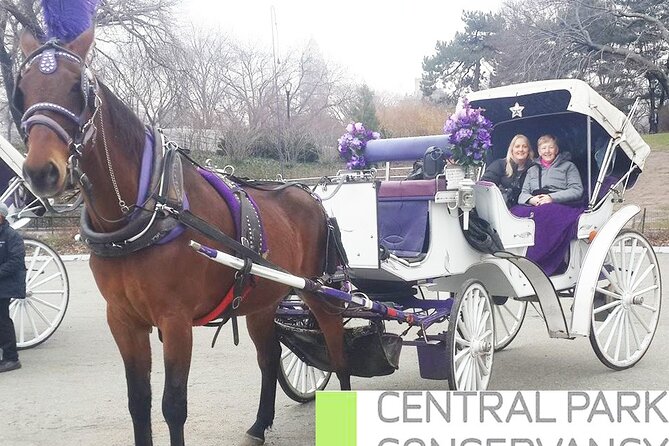 Carriage Ride in Central Park (VIP - PRIVATE) Since 1964 - Limitations and Considerations