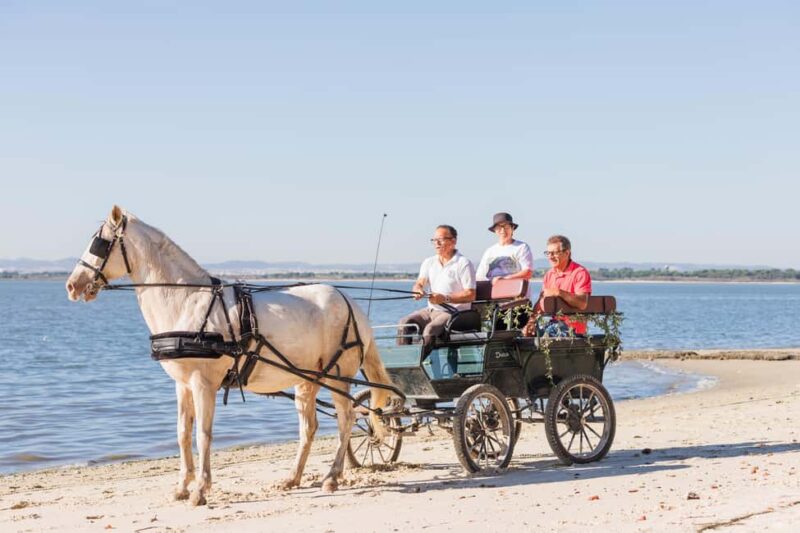 CARRIAGE Ride On The Beach (Rosário Beach) - A Charming Carriage Ride Along Rosário Beach in Lisbon District