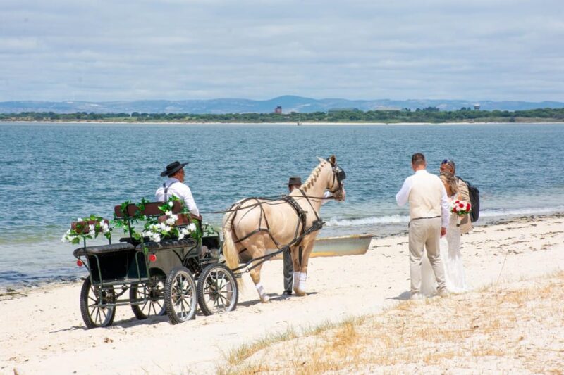 CARRIAGE Ride On The Beach (Rosário Beach) - The Professional Photography Service and Atmosphere