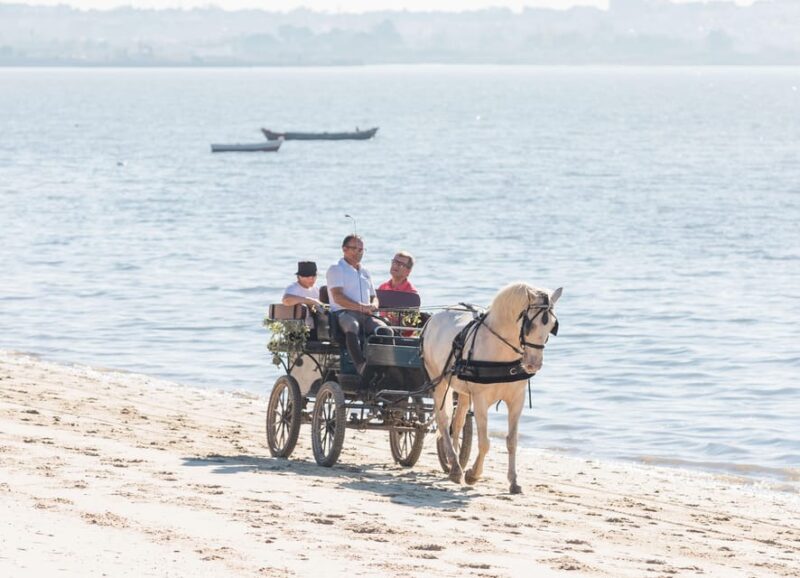CARRIAGE Ride On The Beach (Rosário Beach) - Logistics and Practical Tips for Participants