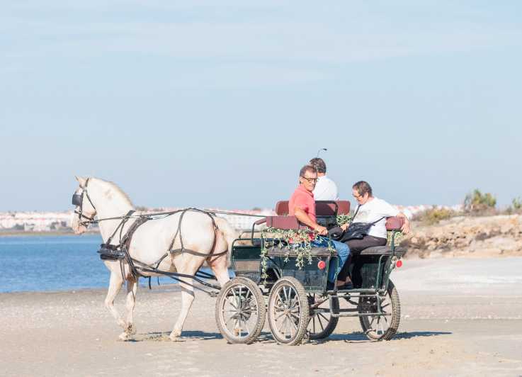 CARRIAGE Ride On The Beach (Rosário Beach) - Comparing This Tour with Similar Experiences