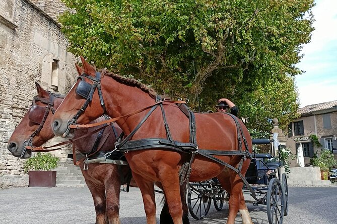 Carriage rides in the heart of the Luberon - Discover the Heart of the Luberon from Gordes