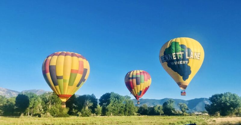 Carson City: Hot Air Balloon Flight - Key Points