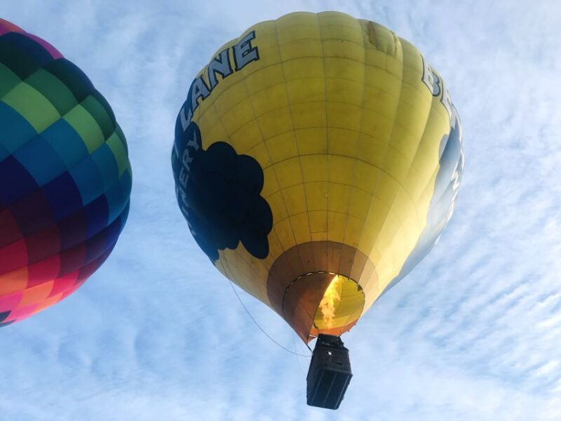 Carson City: Hot Air Balloon Flight - The Expertise of Your Pilot