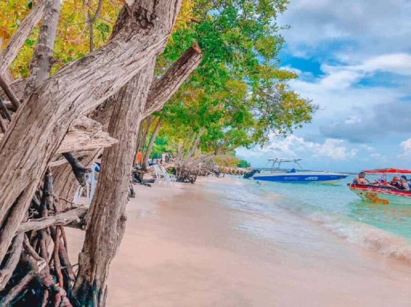 Cartagena: 5 ISLANDS by speedboat with SNORKELING & LUNCH - Relaxing at Playa Tranquila on Isla Baru