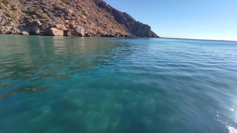 Cartagena: Guided boat tour to Isla de las Palomas - Practicalities: Booking, Cancellation, and Accessibility