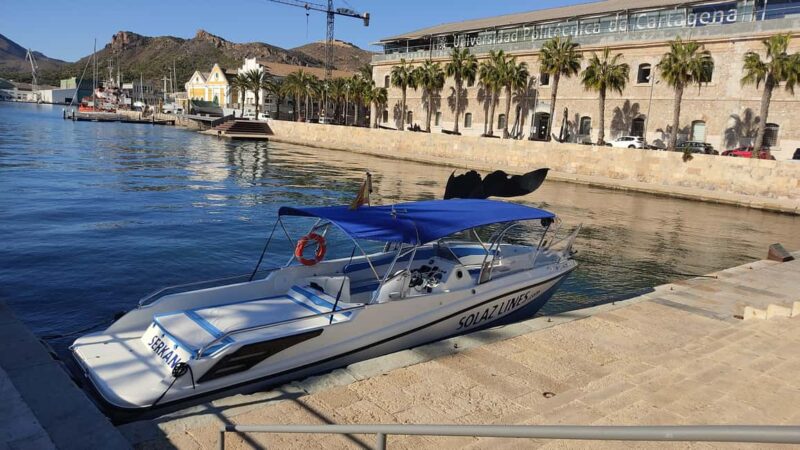 Cartagena: Guided boat tour to Isla de las Palomas - Reviews and Feedback Highlights