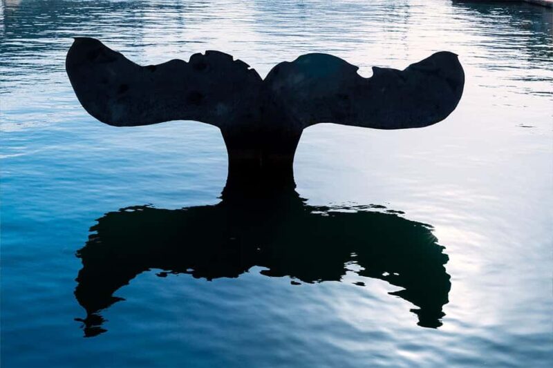 Cartagena Private Tour (Spain) - Exploring the Roman Theatre in the Historic Center