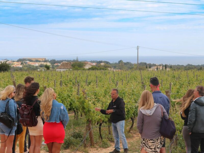 Carvoeiro/Portimão/Alvor: Wine Tour w/ Tasting, Tapas, Music - Discover the Unique Charm of the Algarve Wine Tour with Tasting, Tapas, and Live Music