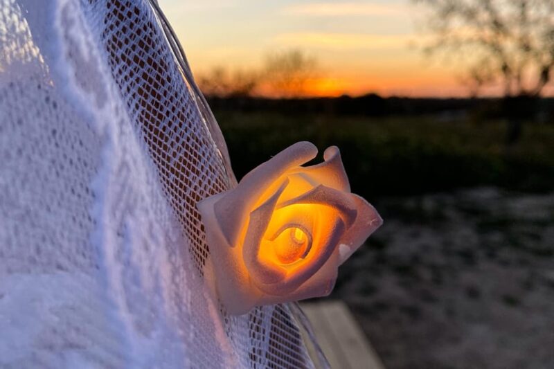 Carvoeiro, Portimão, Lagos: Algarve Romantic Vineyard Picnic - Algarve Romantic Vineyard Picnic: An Exclusive Sunset Experience for Couples