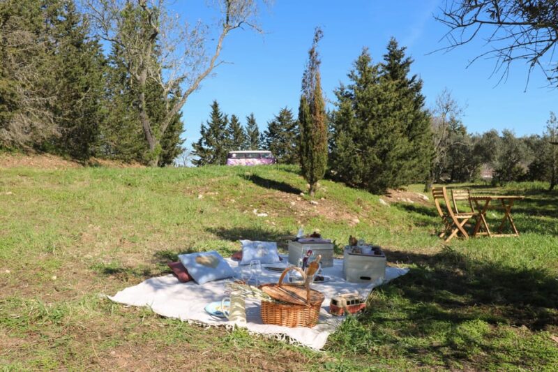 Carvoeiro, Portimão, Lagos: Algarve Romantic Vineyard Picnic - The Experience Provider: Algarve Gourmet