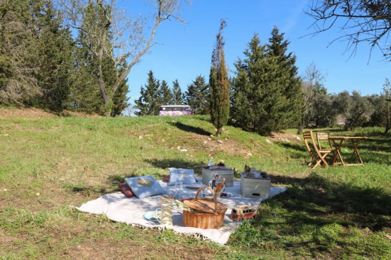 Carvoeiro, Portimão, Lagos: Algarve Romantic Vineyard Picnic - Perfect for Romantic Getaways and Special Celebrations