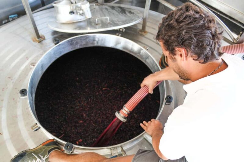 Casa Relvas, Évora - Visit to the Winery with Tasting of 5 wines and Tapas - Casa Relvas: A Family-Driven Winery in Évora