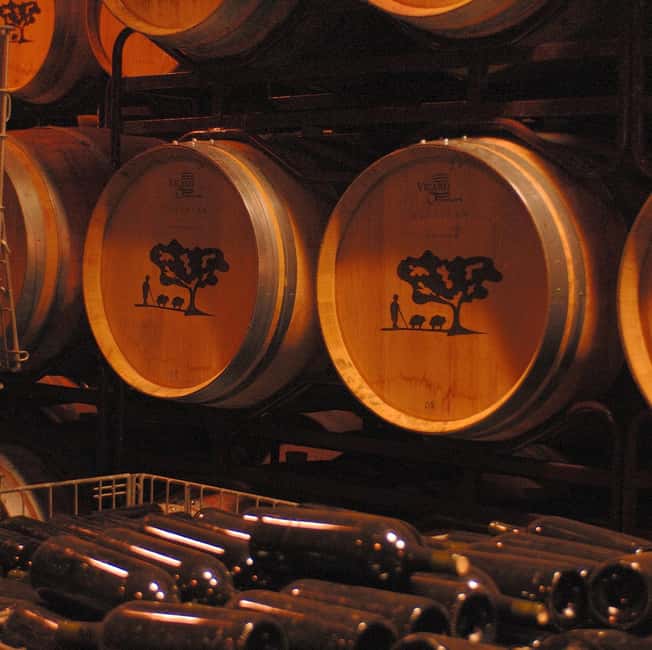 Casa Relvas, Évora - Visit to the Winery with Tasting of 5 wines and Tapas - Visiting the Casa Relvas Estate: Location and Atmosphere