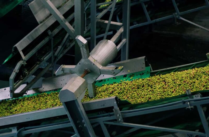 Casa Relvas, Vidigueira: Visit the Olive Press, Technical Tasting of Olive Oils and Wines - Visiting the Olive Press in Vidigueira