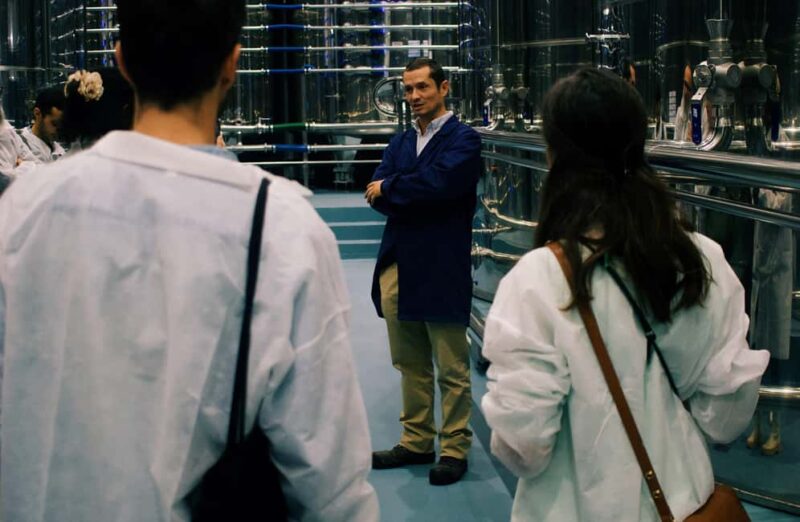 Casa Relvas, Vidigueira: Visit the Olive Press, Technical Tasting of Olive Oils and Wines - Why Choose This Tour Over Similar Experiences