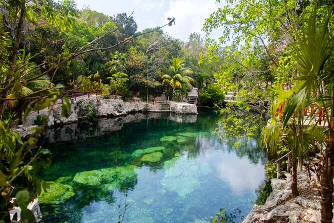 Casa Tortuga Natural Park, Explore 5 Cenotes with Lunch buffet - Explore the Enchanting Cenotes of Tulum for $24.00