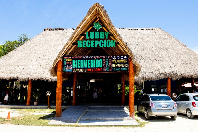 Casa Tortuga Natural Park, Explore 5 Cenotes with Lunch buffet - Free Time in Playa del Carmen’s 5th Avenue