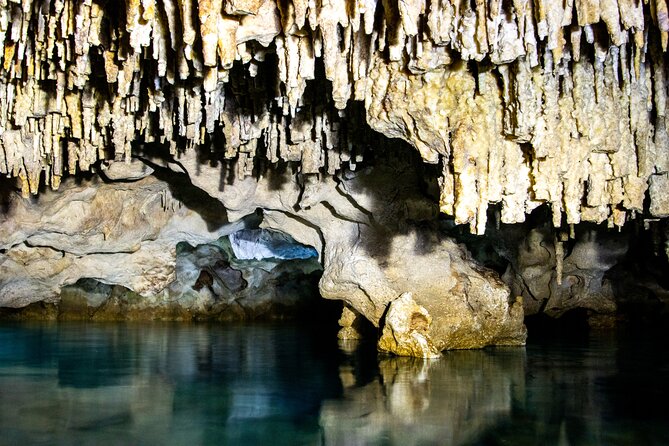 Casa Tortuga Natural Park, Explore 5 Cenotes with Lunch buffet - Practical Details and Considerations