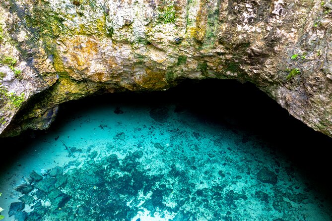 Casa Tortuga Natural Park, Explore 5 Cenotes with Lunch buffet - The Value of This Cenote Tour in Riviera Maya