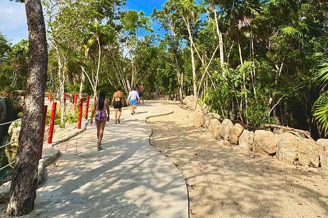 Casa Tortugas cenotes, Tulum Mayan site and Madre Naturaleza tour - Practical Details and Logistics