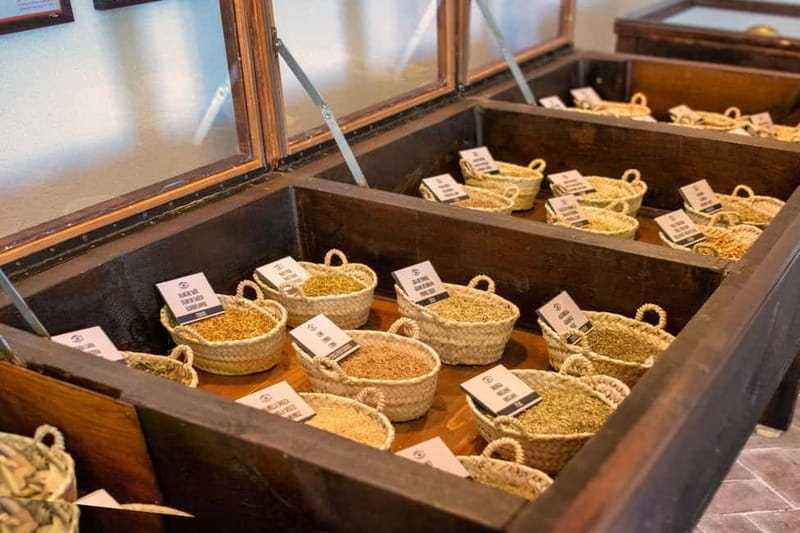 Casa Vermouth Padró: Vermouth tasting and guided visit in Bràfim (Tarragona) - Botanical Display: Touch, Smell, and Taste