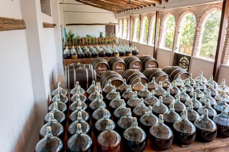 Casa Vermouth Padró: Vermouth tasting and guided visit in Bràfim (Tarragona) - Guided Vermouth Tasting with Snacks