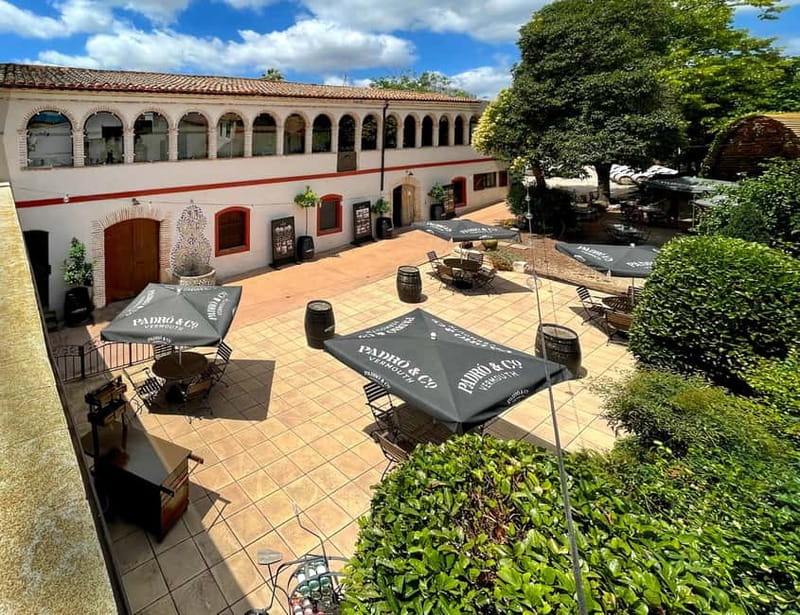 Casa Vermouth Padró: Vermouth tasting and guided visit in Bràfim (Tarragona) - Casa Vermouth Padró: Authentic Vermouth in Tarragona’s Heart