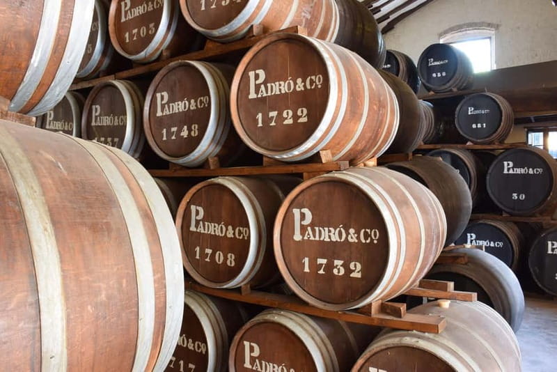 Casa Vermouth Padró: Vermouth tasting and guided visit in Bràfim (Tarragona) - Final Thoughts on the Vermouth Experience in Bràfim
