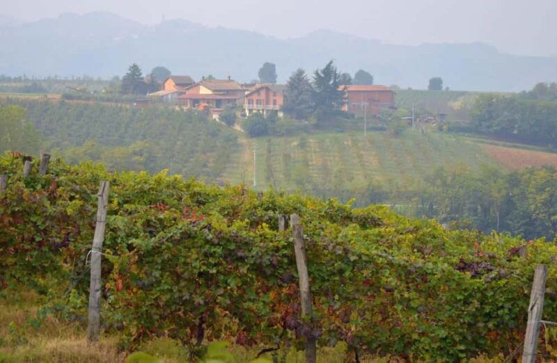 Casalnoceto: Winery Tour with Wine Tasting & Local Food - Key Points