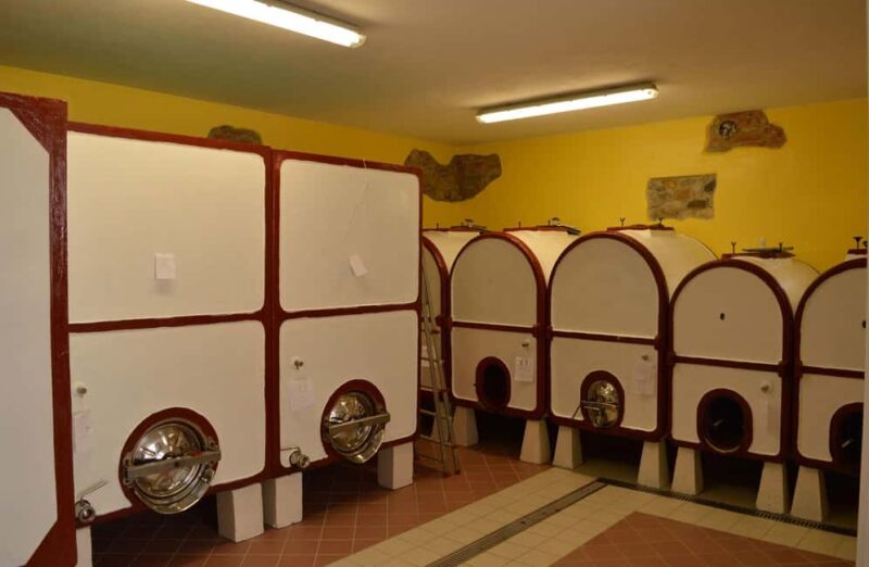 Casalnoceto: Winery Tour with Wine Tasting & Local Food - Discover the Authentic Charm of the Casalnoceto Winery in Piedmont