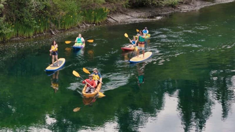 Cascade Locks: Columbia River Gorge Kayak Tour - Wildlife Viewing Opportunities