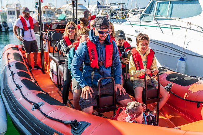 Cascais coast: Dolphin watching - What to Expect from the Guide’s Expertise