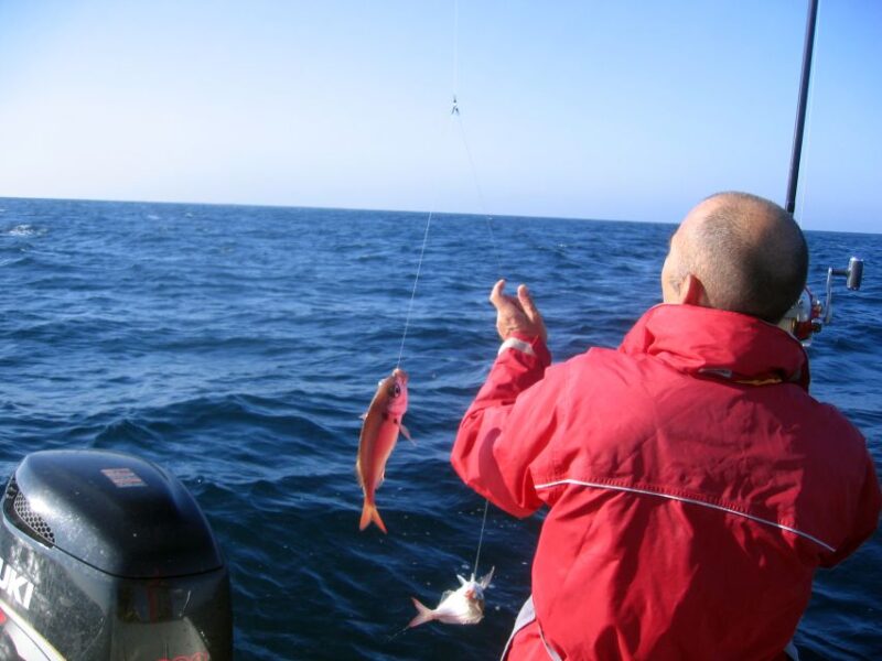 Cascais Deep-Sea Fishing Trip - Why Choose the Cascais Deep-Sea Fishing Trip?