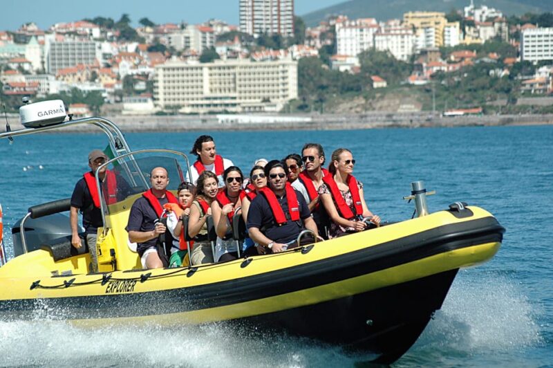 Cascais: Dolphin Watching Speedboat Tour - Weather, Sea Conditions, and Practical Tips