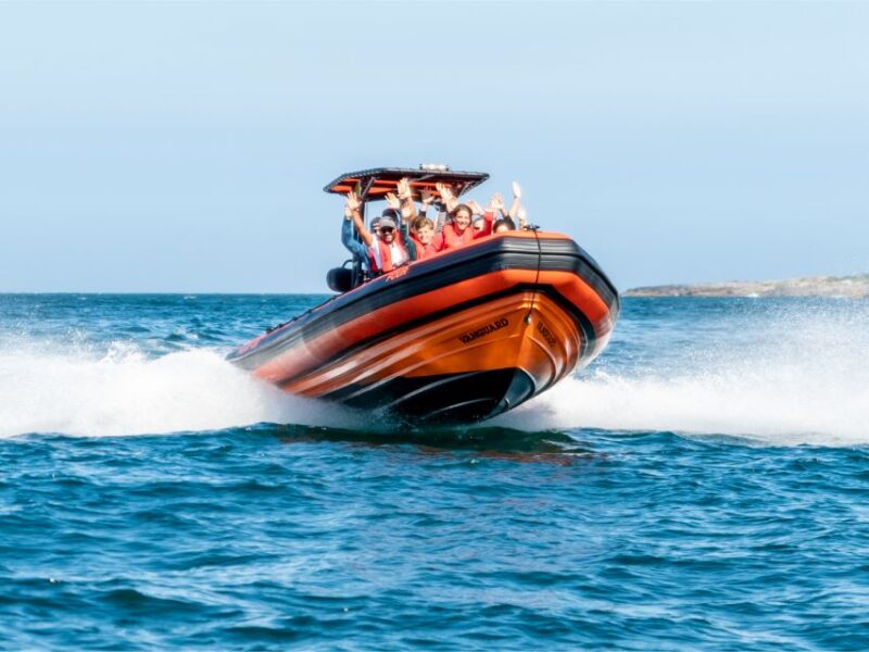 Cascais: Dolphin Watching Tour - Discover the Unique Charm of the Cascais Dolphin Watching Tour