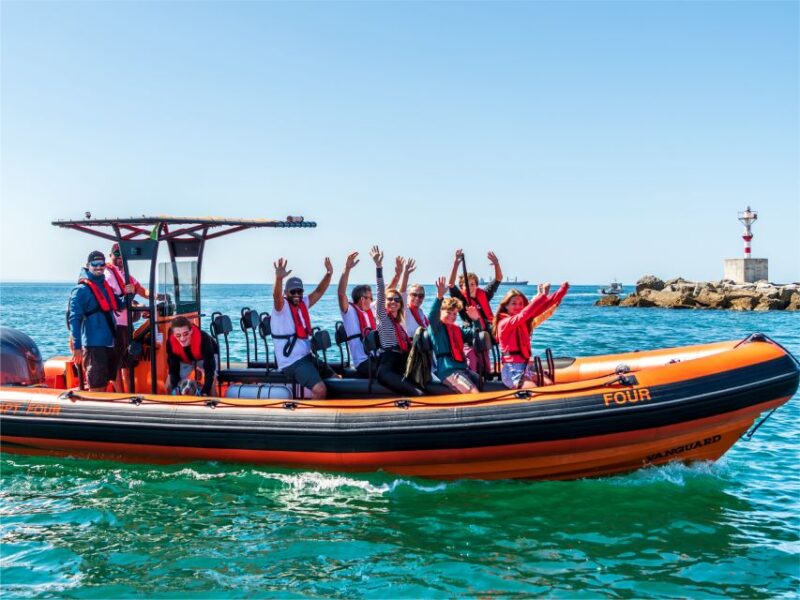 Cascais: Dolphin Watching Tour - Customer Satisfaction and Consistent Reviews