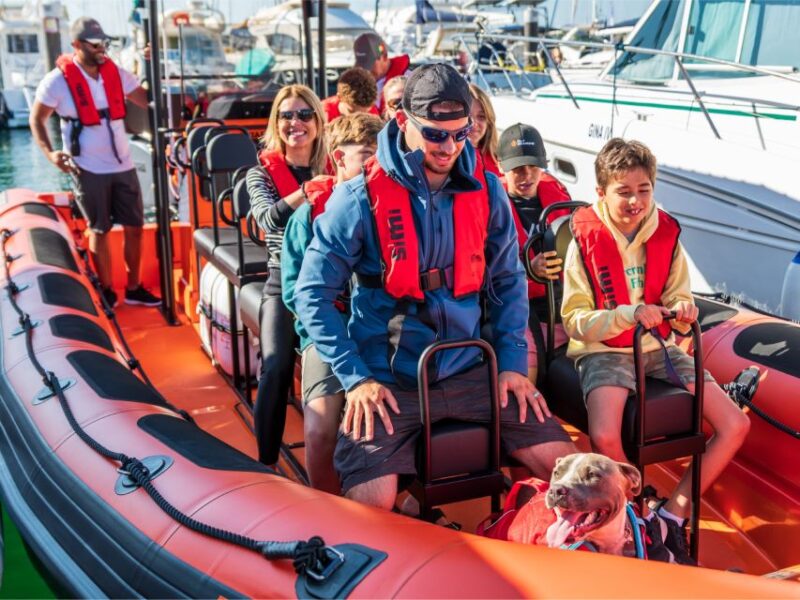 Cascais: Dolphin Watching Tour - Starting Point: Cascais Marina and The Meeting Experience